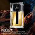 Christian Dior Homme M EDT 100 ml