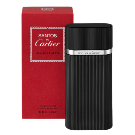 Cartier Santos M EDT 100 ml (1)