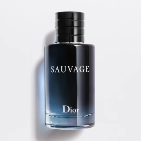Christian Dior Sauvage M EDT 100 ml (500 × 500 px) (1)