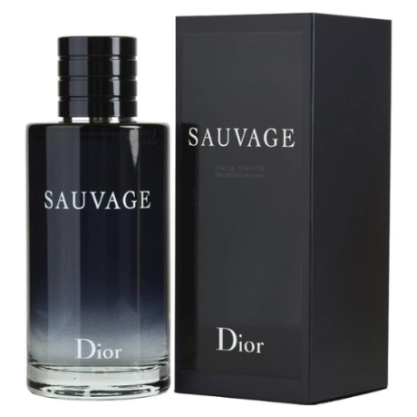 Christian Dior Sauvage M EDT 100 ml (500 × 500 px)