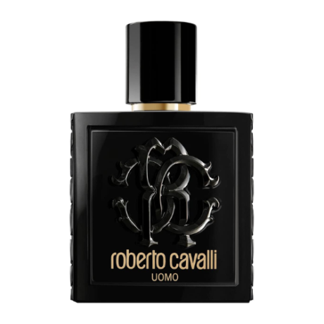 Roberto Cavalli Uomo M EDT 100 ml (500 × 500 px) (1)